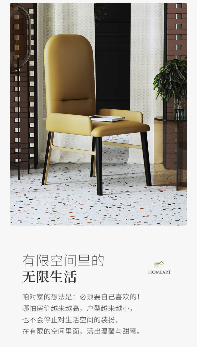 洛品家具 轻奢餐椅家用铁艺背网红椅子现代简约 YX-096(图4)