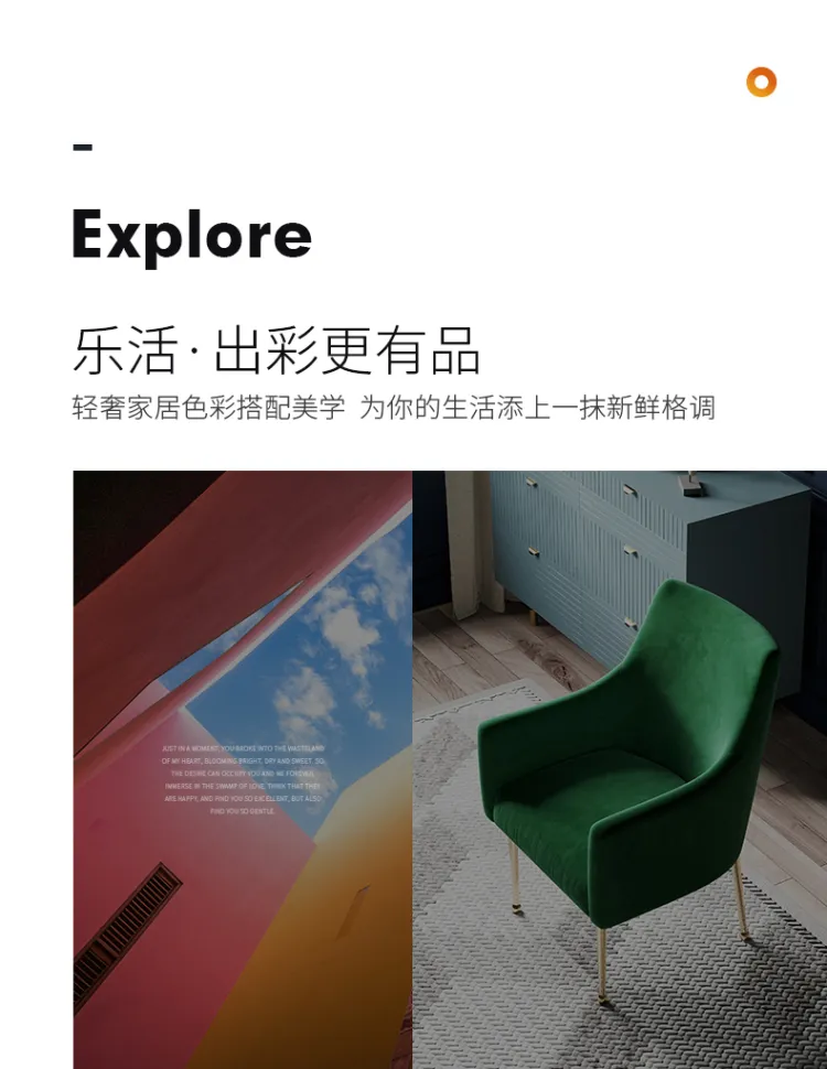 洛品家具 轻奢餐椅现代简约家用小户型创意实用椅子 YX-034(图2)