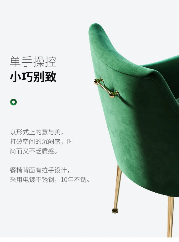洛品家具 轻奢餐椅现代简约家用小户型创意实用椅子 YX-034(图14)