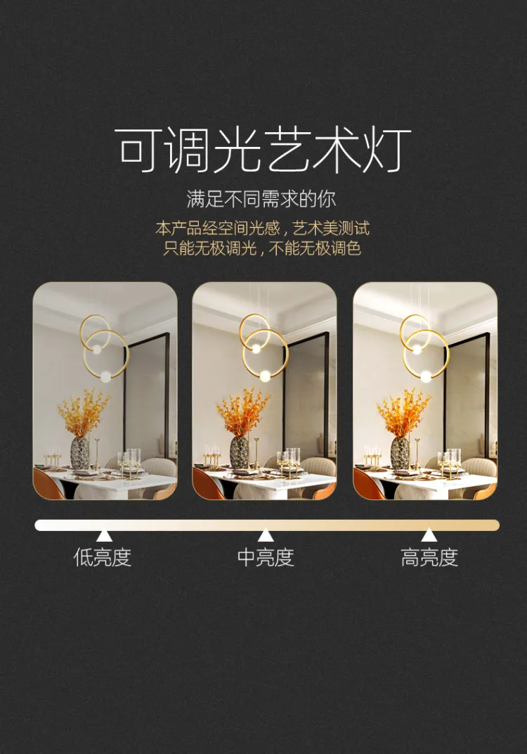 琪朗 餐厅吊灯现代简约LED轻奢戒指灯具创意个性家用吧台北欧灯 MD19001035系列(图11)
