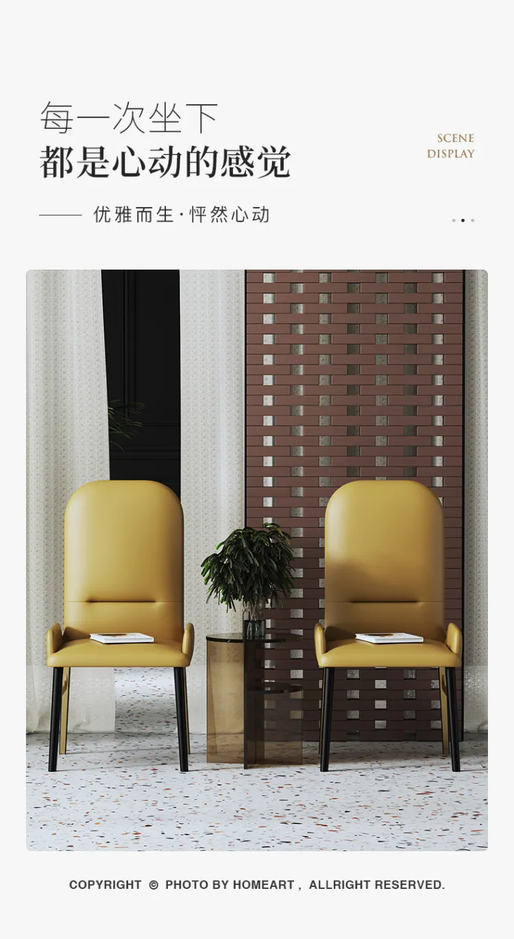 洛品家具 轻奢餐椅家用铁艺背网红椅子现代简约 YX-096(图3)