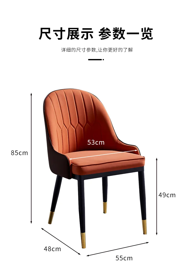 现代海马 轻奢风餐椅现代简约靠背椅网红洽谈美甲椅子家用餐厅休闲凳子 X-02 椅(图16)