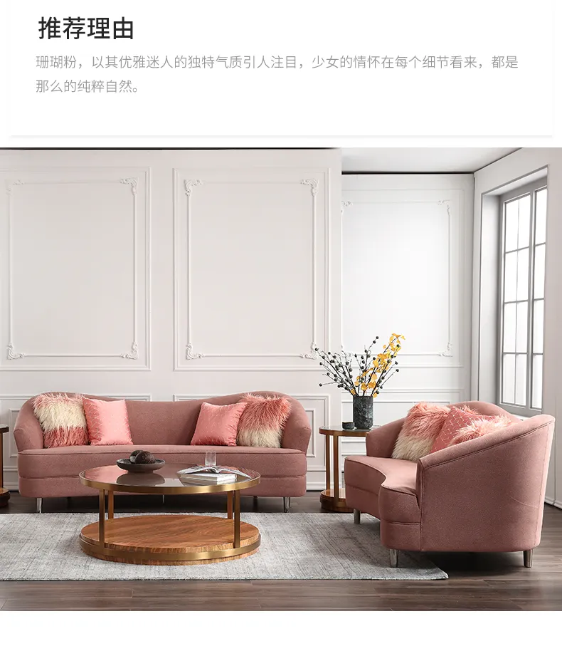 帆晨美家 现代轻奢2+3布艺沙发组合客厅休闲布沙发 18165(图4)